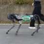 Robot dog runs a marathon on a single battery charge
